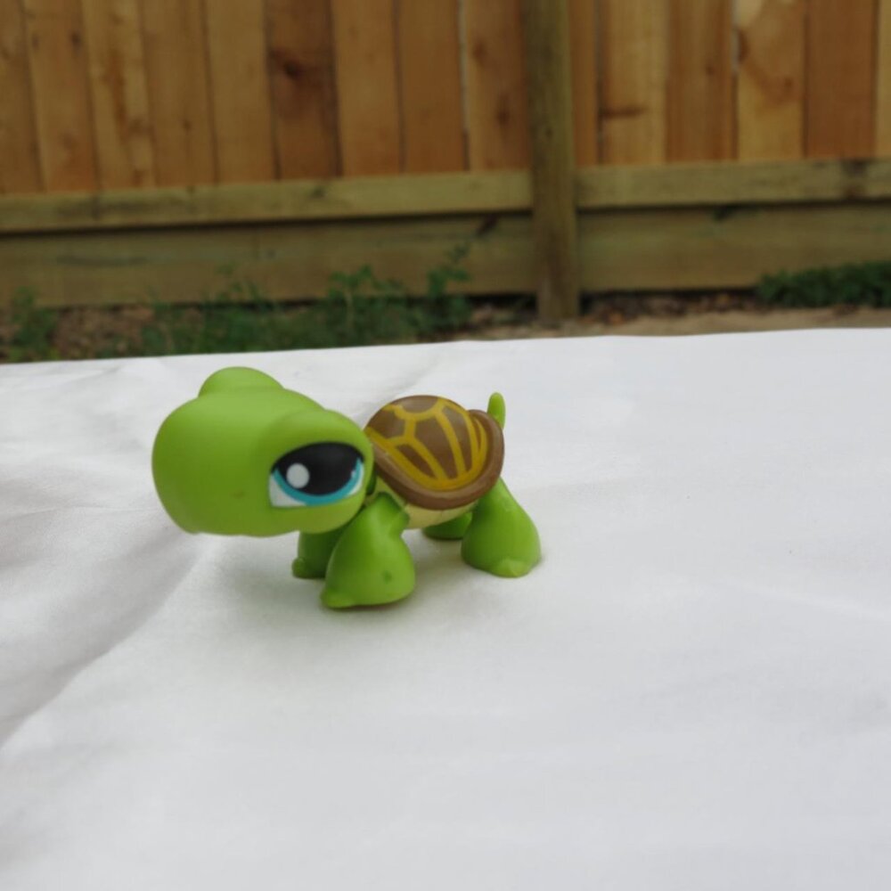 littlest pet shop🐢
